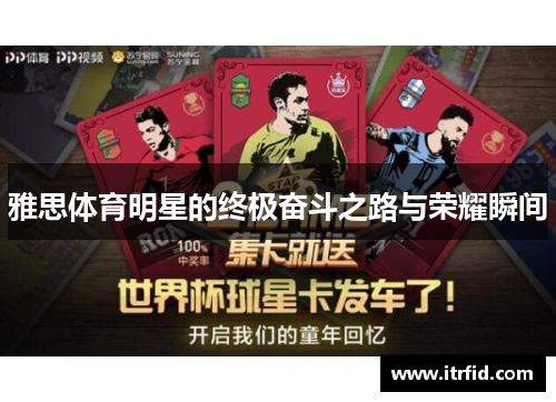 雅思体育明星的终极奋斗之路与荣耀瞬间